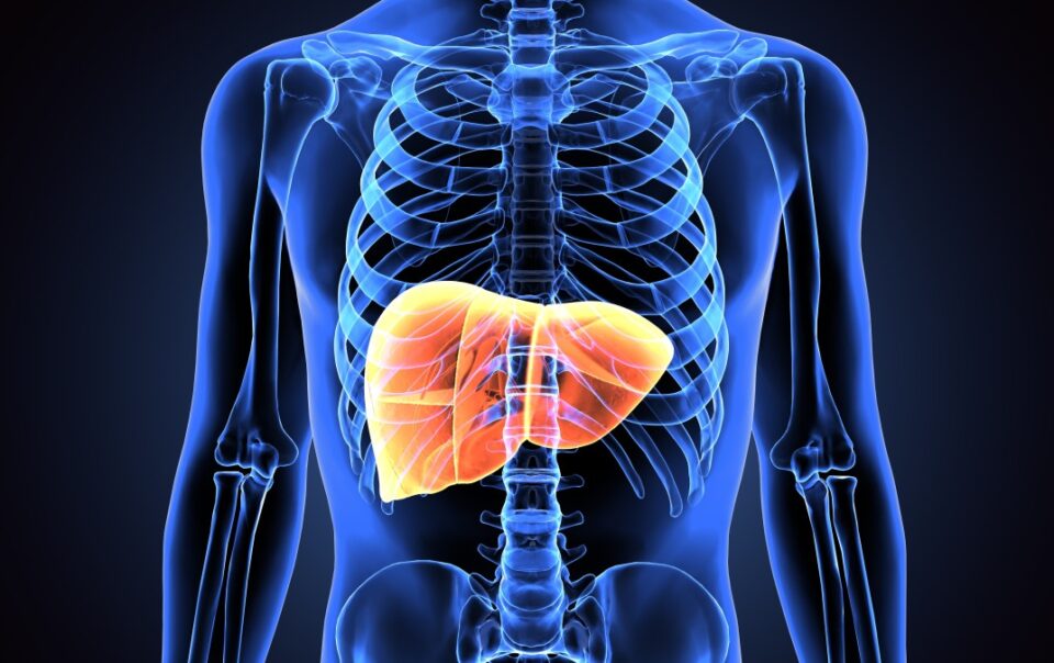 Can I Receive SSDI Benefits For Liver Disease?