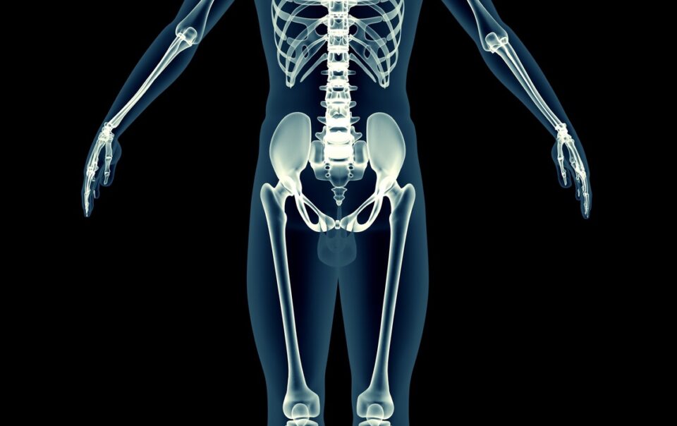 Musculoskeletal Impairment Disability Claims