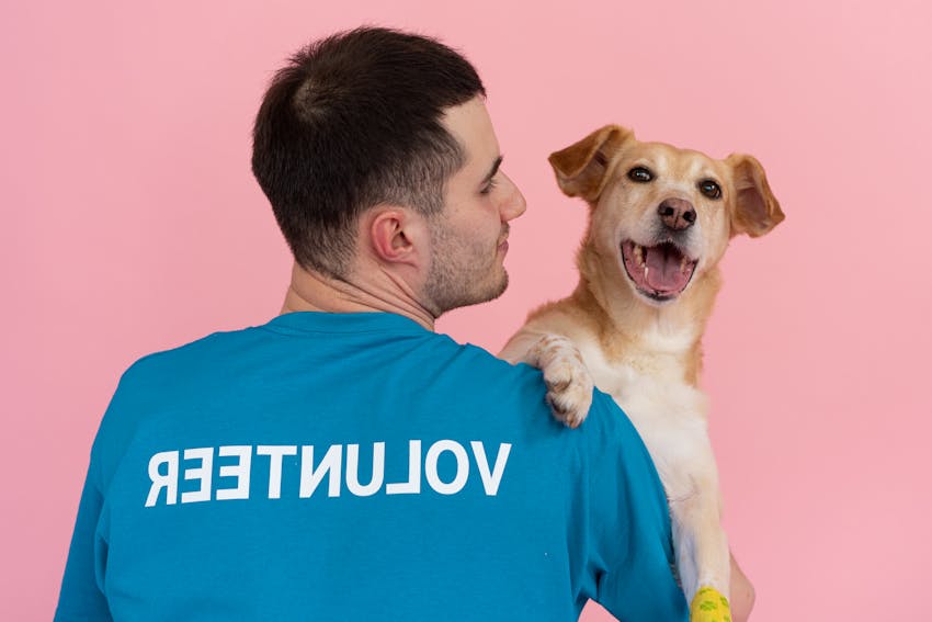 What Disabilities Qualify For An Emotional Support Animal?